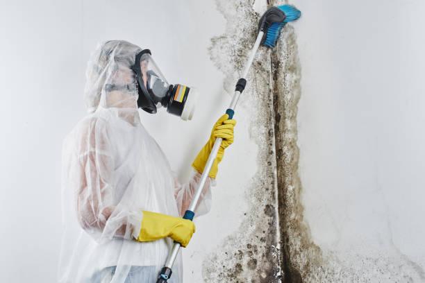 Best Crawl Space Mold Removal  in Lemoore, CA