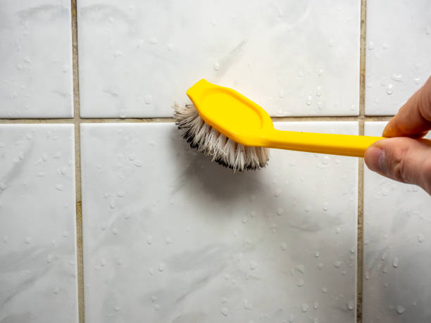 Best Toxic Mold Removal  in Lemoore, CA