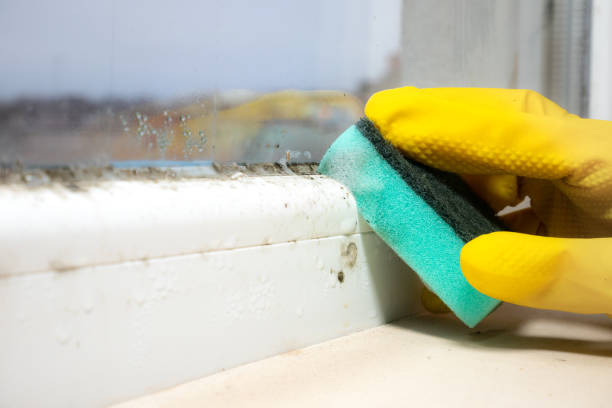 Best Mold Testing  in Lemoore, CA